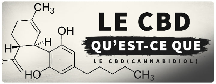 Qu'est-ce Que Le CBD (cannabidiol) Et Ses Avantages Pour La Santé ...